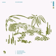ST041 - Sahar - No Downside EP