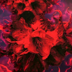 Ultra Violet (Clip)