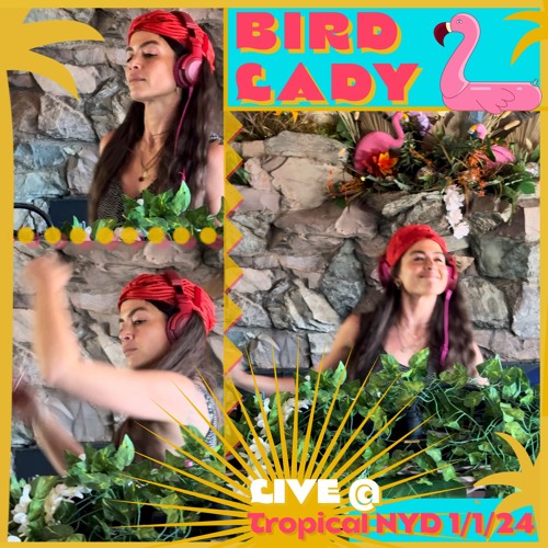 Live @ Tropical NYD 2024