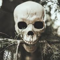 01 REC-2025-10-30  ꜱᴘᴏᴏᴋᴇᴅ