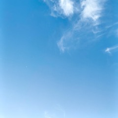 graceful abundance 3