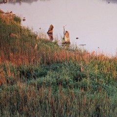 In Between Seasons.wav