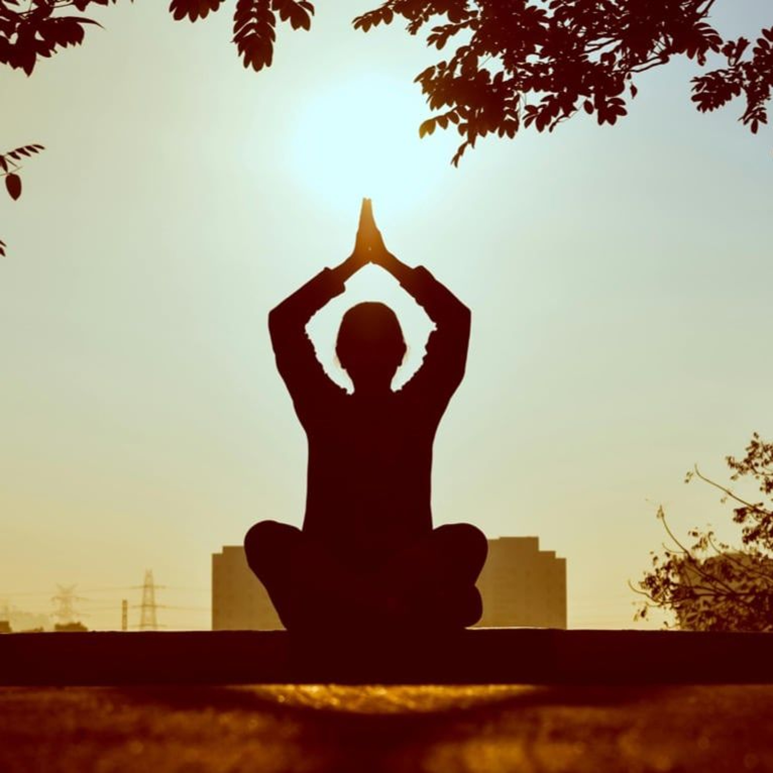 Quantum Consciousness Podcast