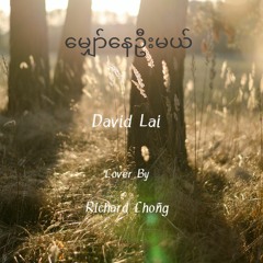 မျှော်နေဦးမယ်(Still Waiting)-David Lai cover by Richard Choñg.mp3