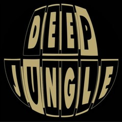 Jungle/DnB