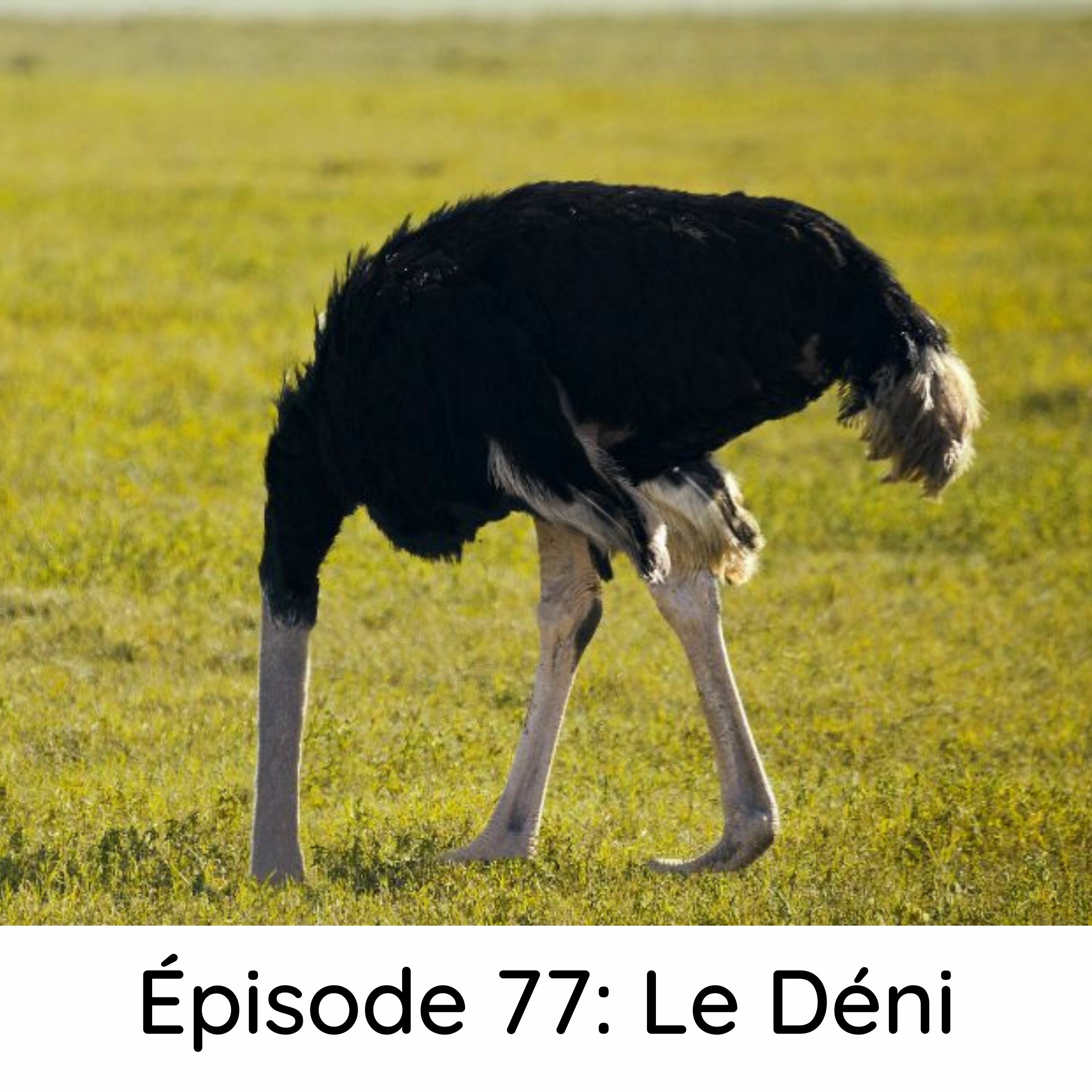 Je fais la paix