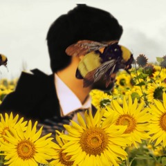 Yun Li - Girassol [fanmade]
