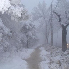 SUMMER ALONE - Serenade (prod. metlast)