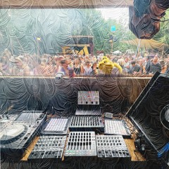 Live @ Zugvögel Festival 2025