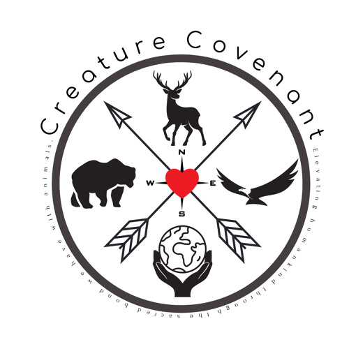 Stream Ep 012 Carla Meeske Creator Of The Spirit Healer School Of Shamanism By Ctr Network Listen Online For Free On Soundcloud
