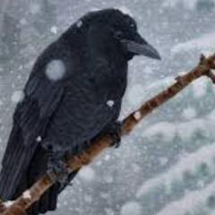 A Dust of Snow