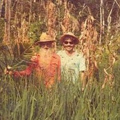 luz na escuridão - Paulo roberto