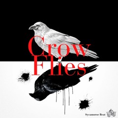 Crow Flies
