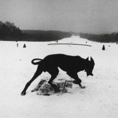 Cosamentale - WHERE WERE YOU