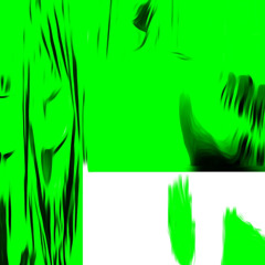 2 (aloa x jahlis)
