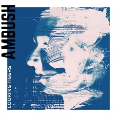 Ambush (Remix)