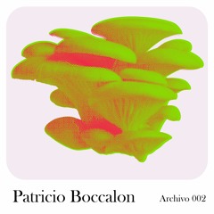 Patricio Boccalon - Archivo 002
