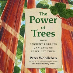 The Power of Trees, By Peter Wohlleben, Read by Mike Grady