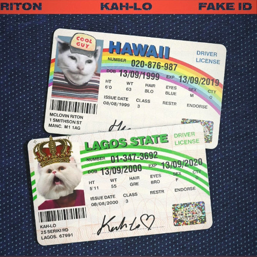 Riton & Kah-Lo - Fake ID (xeow flip)