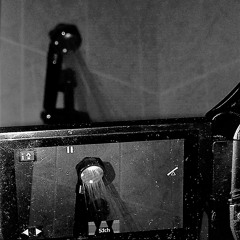 shower brushes