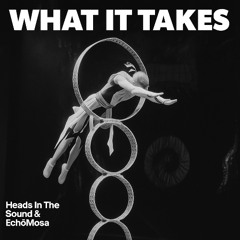 Heads In The Sound, EchöMosa - What It Takes