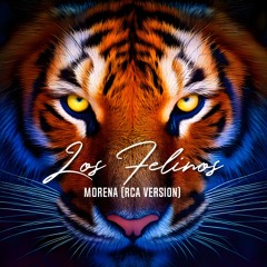 Los Felinos - Morena (RCA Version) 128 Kbps