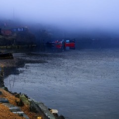 Fog