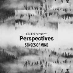 PERSPECTIVES EPISODE 17 / DECEMBER 2020 - Senses Of Minds Guest Mix