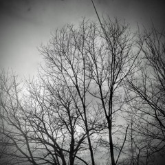 Untitled Playlist