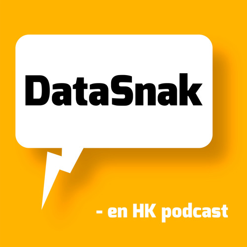 DataSnak 191 - AI i Gymnasiet med Sine Zambach