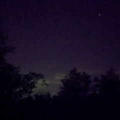 A Jovial Midnight just for You