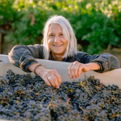 Episode 240 - Rosemary Cakebread, GALLICA Wine