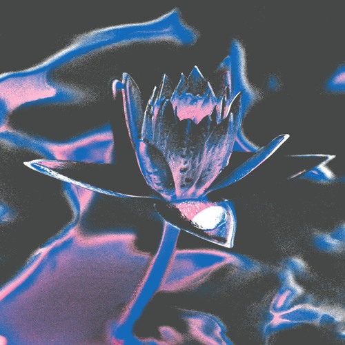 PALMS027 // Swoose - Introspective EP