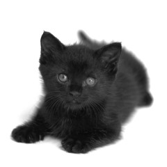 unplugged diss #fuckunplugged #fuck4curse #fucksoulsecret