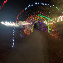 holidayyyy (december 4th)