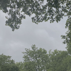 SchattenTanz - Funk (M) (Free Download)