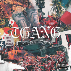 TGANG (feat. GBLOCK)
