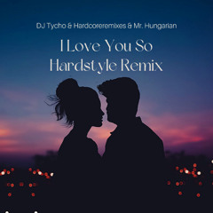 I Love You So Hardstyle Remix