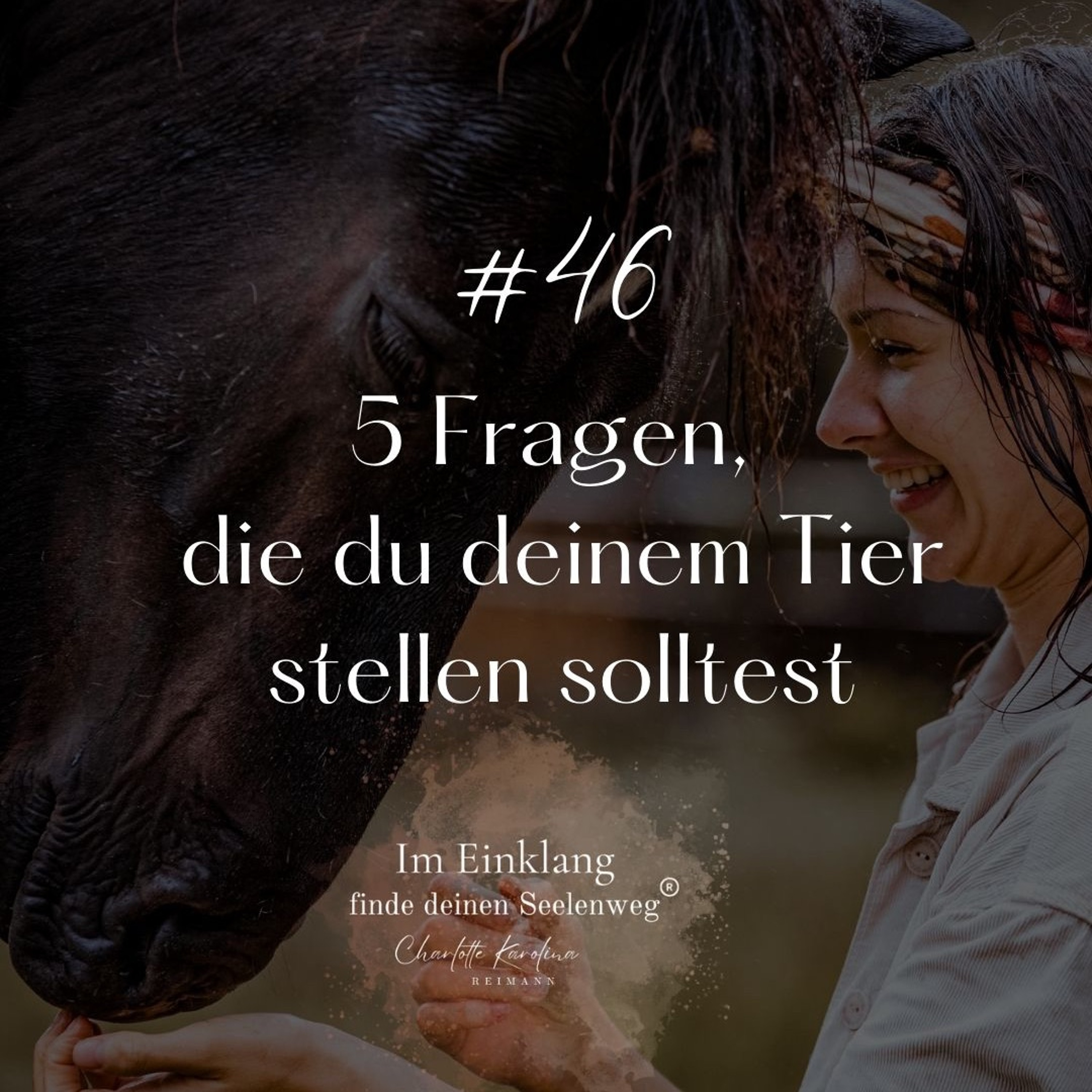 Im Einklang - finde Deinen Seelenweg