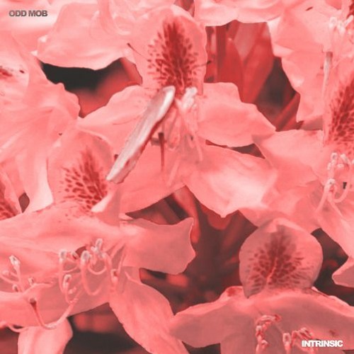 ODD MOB - Intrinsic (Lunchbox Edit)