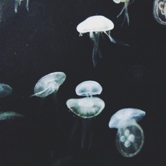 Ambedo