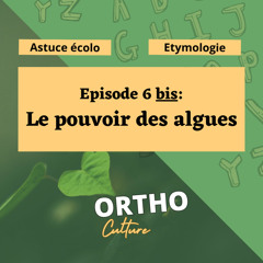 Episode 6bis - Le pouvoir des algues