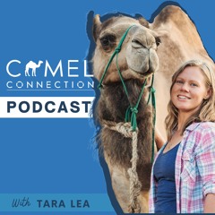 Untrainable Camels - Do They Exist?