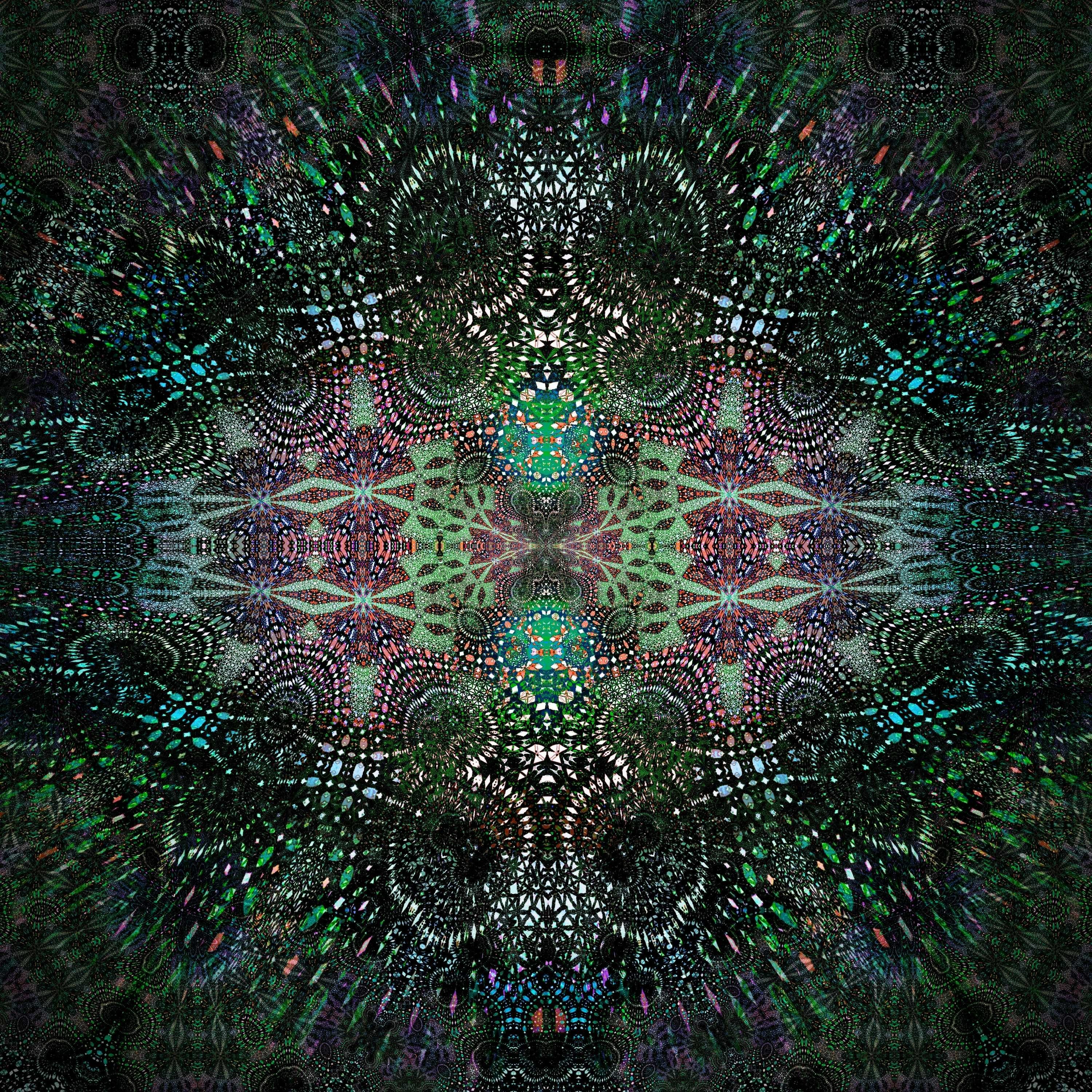 EnigmaCurry