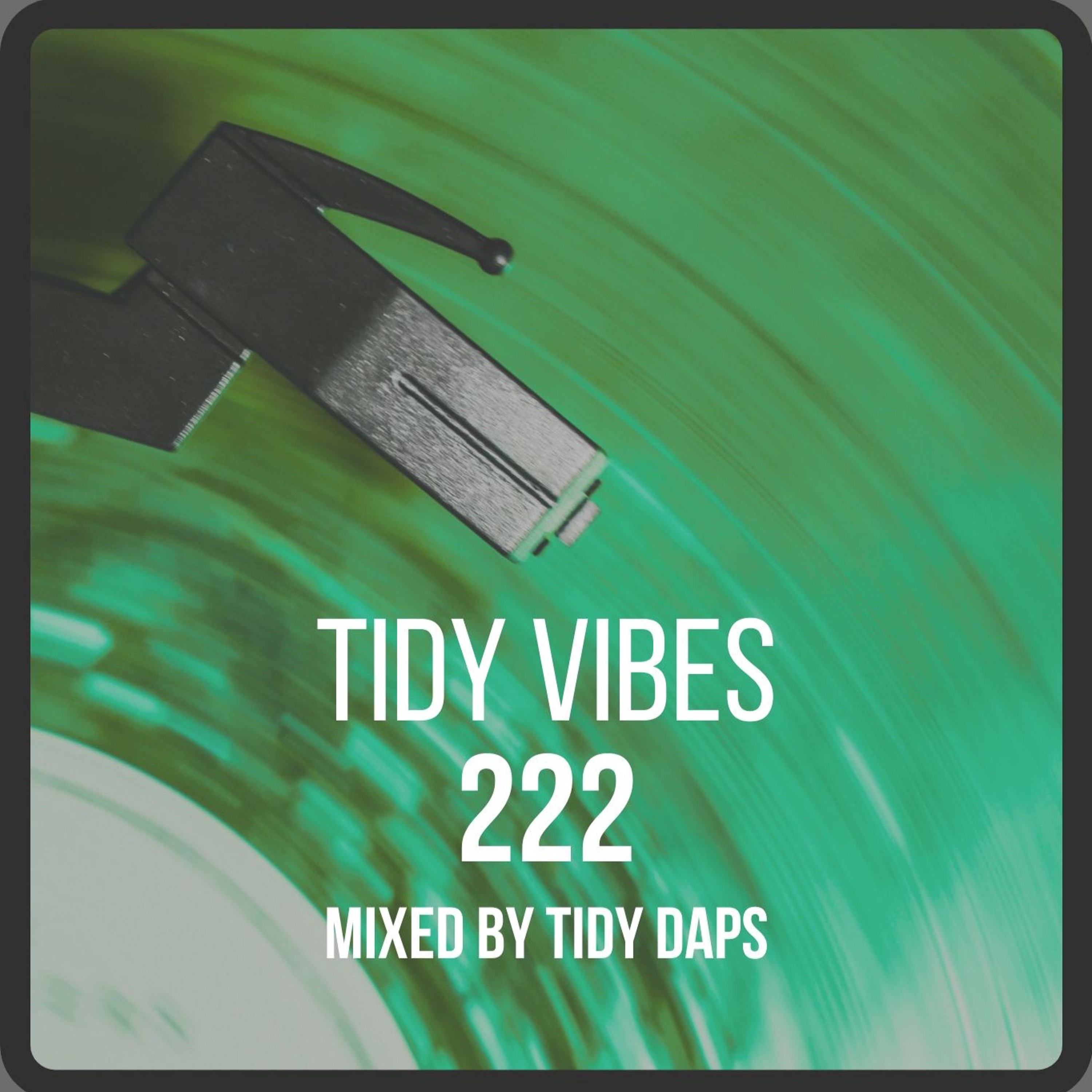 Tidy Vibes 222 episode artwork