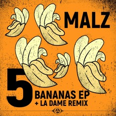 [Premiere] Malz - Hokus (out on Eyesome)