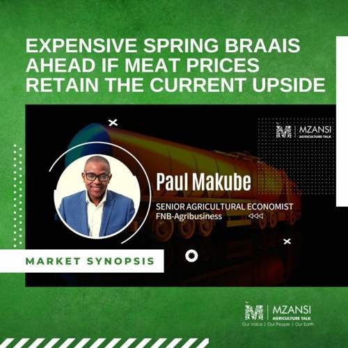 Spring Braai Stream Expensive Spring braais ahead if meat prices retain the current ...