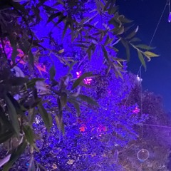 ultraviolett