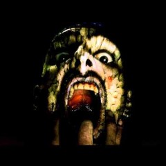 Brain Trippin @ SRB and Drokz - 250 BPM TERROR DEDICATION MIX [HQ]