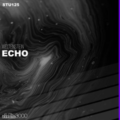 Weltenstein - Echo (Original Mix)